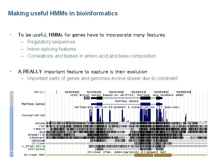 Making useful HMMs in bioinformatics • To be useful, HMMs for genes have to