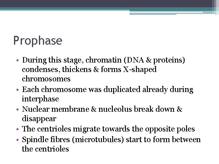 Prophase • During this stage, chromatin (DNA & proteins) condenses, thickens & forms X-shaped