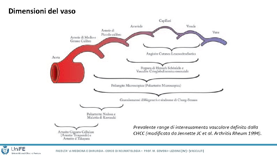Dimensioni del vaso Prevalente range di interessamento vascolare definito dalla CHCC (modificata da Jennette Dimensioni del vaso Prevalente range di interessamento vascolare definito dalla CHCC (modificata da Jennette