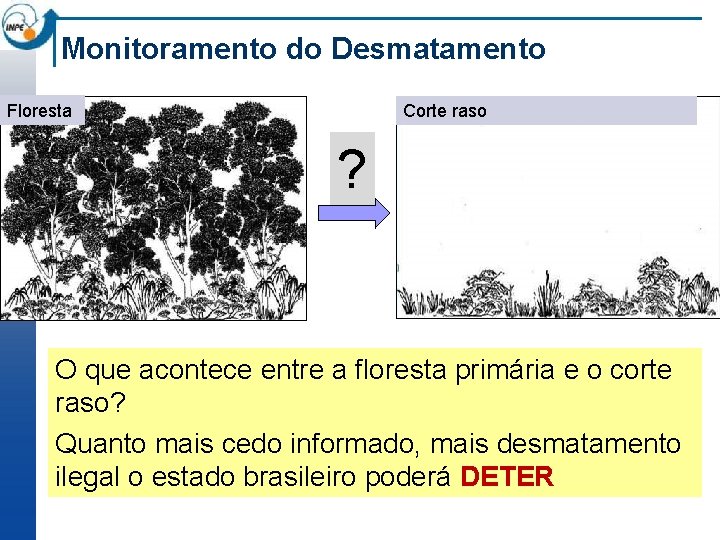 Monitoramento do Desmatamento Floresta Corte raso ? O que acontece entre a floresta primária