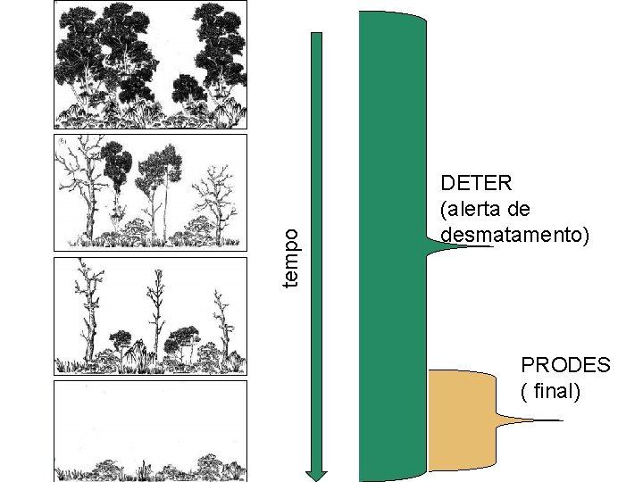 tempo DETER (alerta de desmatamento) PRODES ( final) Floresta 