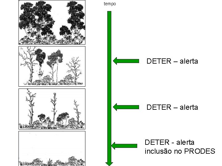 tempo DETER – alerta Floresta DETER - alerta inclusão no PRODES 