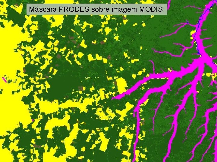 Máscara PRODES sobre imagem MODIS 