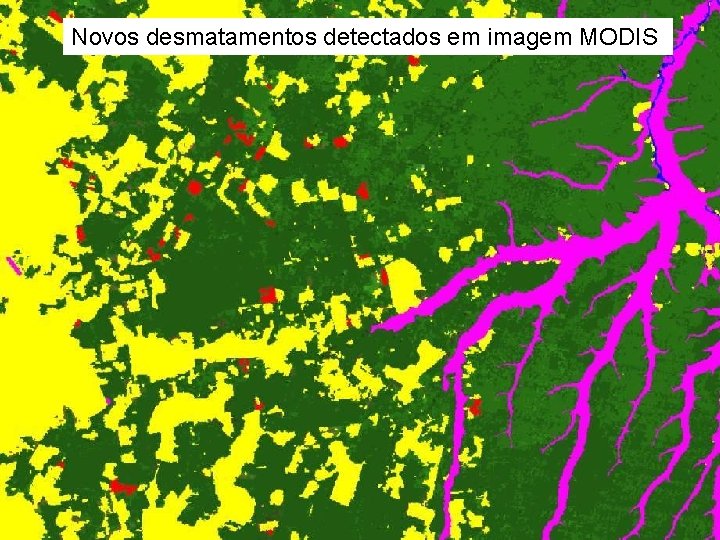Novos desmatamentos detectados em imagem MODIS 