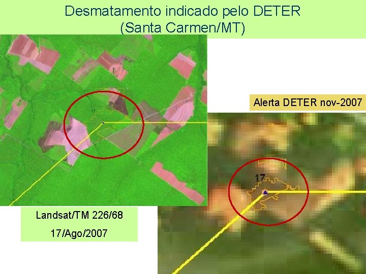 Desmatamento indicado pelo DETER (Santa Carmen/MT) Alerta DETER nov-2007 Landsat/TM 226/68 17/Ago/2007 