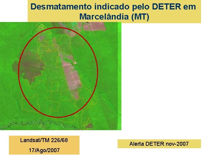 Desmatamento indicado pelo DETER em Marcelândia (MT) Landsat/TM 226/68 17/Ago/2007 Alerta DETER nov-2007 