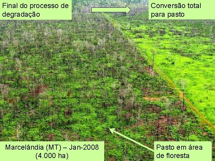 Final do processo de degradação Marcelândia (MT) – Jan-2008 (4. 000 ha) Conversão total