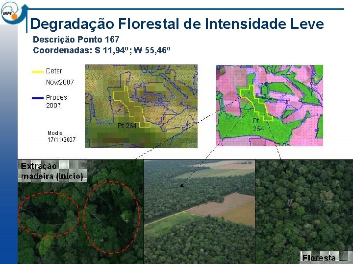 Degradação Florestal de Intensidade Leve Descrição Ponto 167 Coordenadas: S 11, 94 o; W