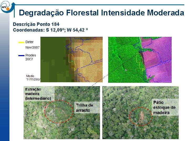 Degradação Florestal Intensidade Moderada Descrição Ponto 184 Coordenadas: S 12, 09º; W 54, 42