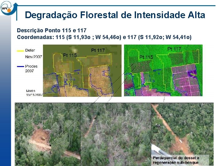 Degradação Florestal de Intensidade Alta Descrição Ponto 115 e 117 Coordenadas: 115 (S 11,