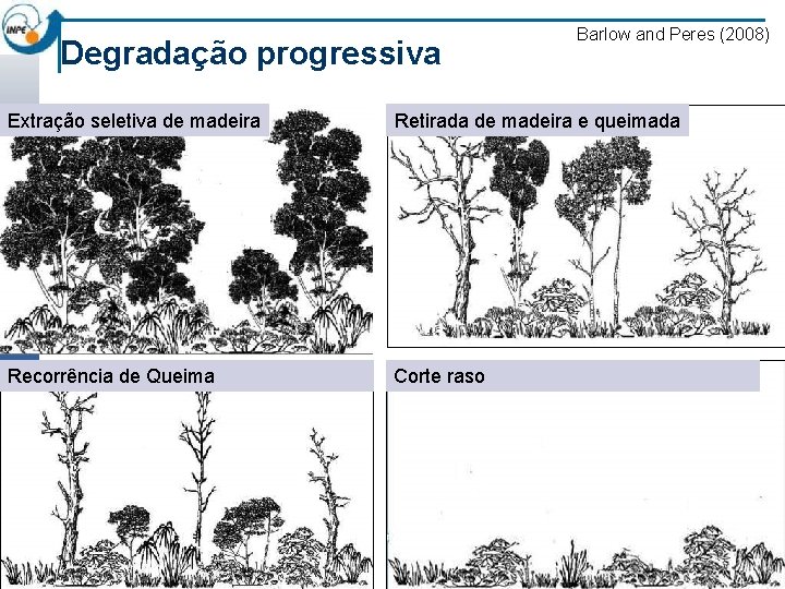 Degradação progressiva Barlow and Peres (2008) Extração seletiva de madeira Retirada de madeira e