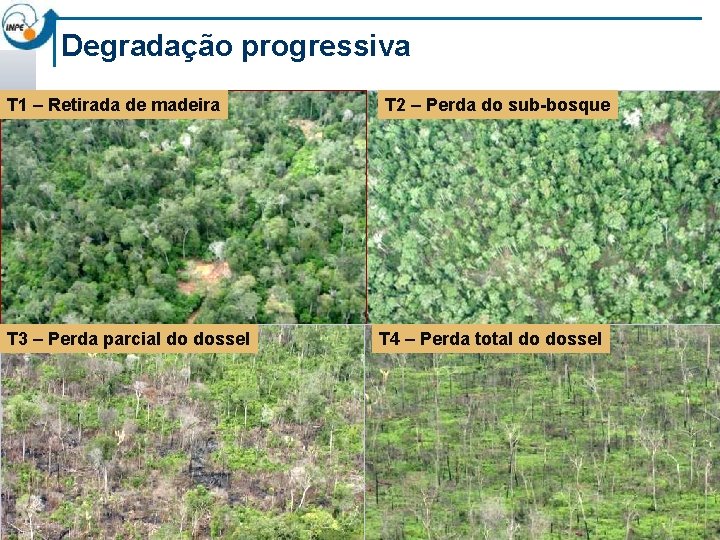 Degradação progressiva T 1 – Retirada de madeira T 3 – Perda parcial do