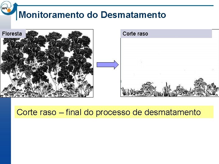 Monitoramento do Desmatamento Floresta Corte raso – final do processo de desmatamento 
