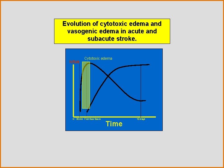 Evolution of cytotoxic edema and vasogenic edema in acute and subacute stroke. Ictus Cytotoxic