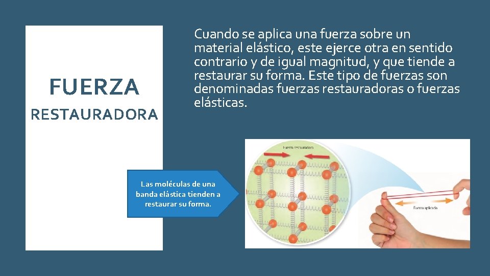 TIPOS DE FUERZA SEGUNDO MEDIO 29 AL 03