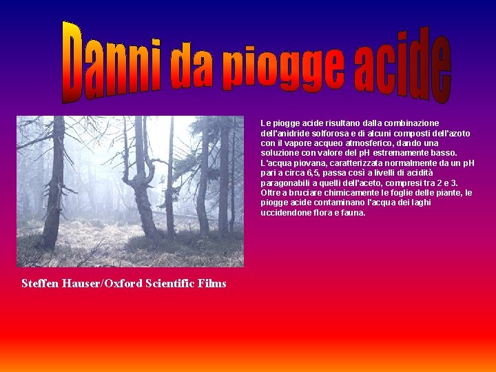 Le piogge acide risultano dalla combinazione dell'anidride solforosa e di alcuni composti dell'azoto con