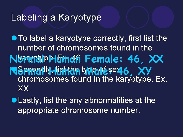 Labeling a Karyotype l To label a karyotype correctly, first list the number of