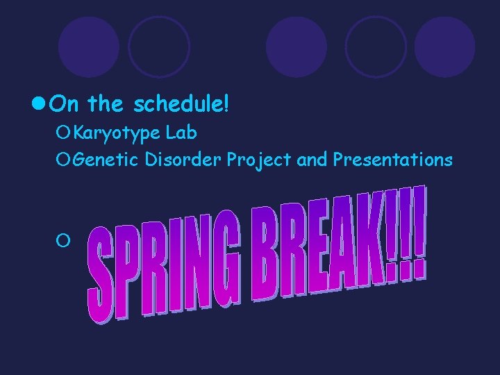 l On the schedule! ¡Karyotype Lab ¡Genetic Disorder Project and Presentations ¡. 