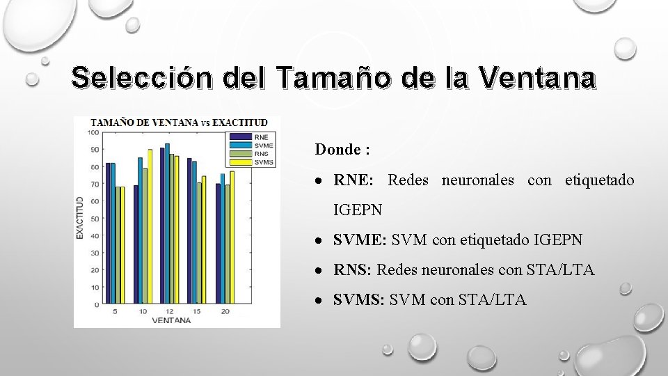 Selección del Tamaño de la Ventana Donde : RNE: Redes neuronales con etiquetado IGEPN