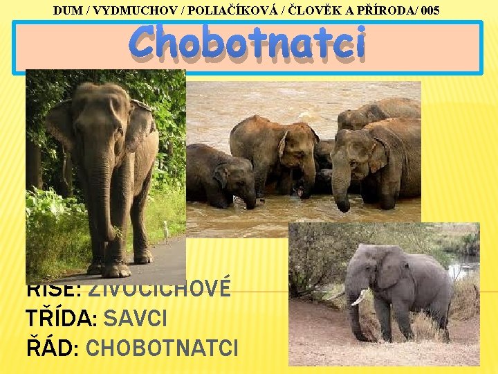 DUM / VYDMUCHOV / POLIAČÍKOVÁ / ČLOVĚK A PŘÍRODA/ 005 Chobotnatci ŘÍŠE: ŽIVOČICHOVÉ TŘÍDA: