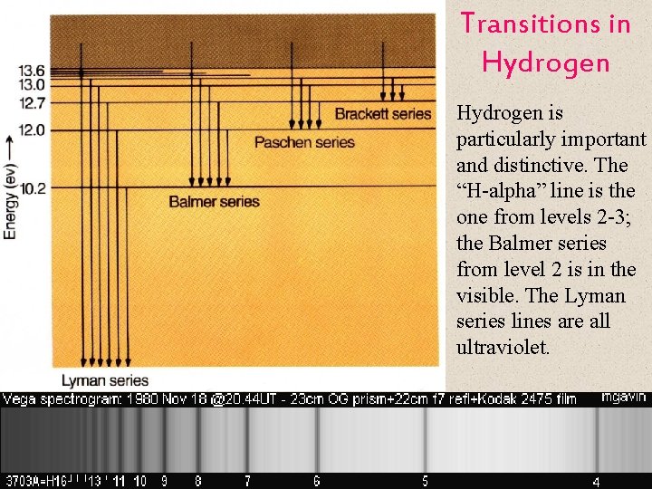 Transitions in Hydrogen is particularly important and distinctive. The “H-alpha” line is the one