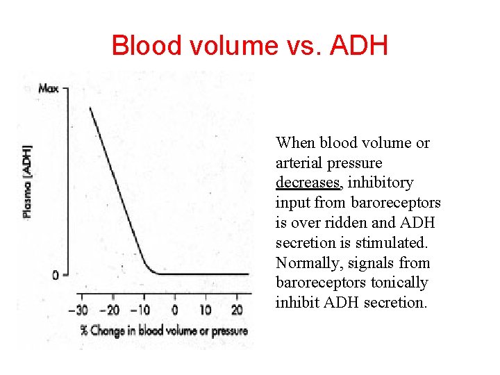 Blood volume vs. ADH When blood volume or arterial pressure decreases, inhibitory input from