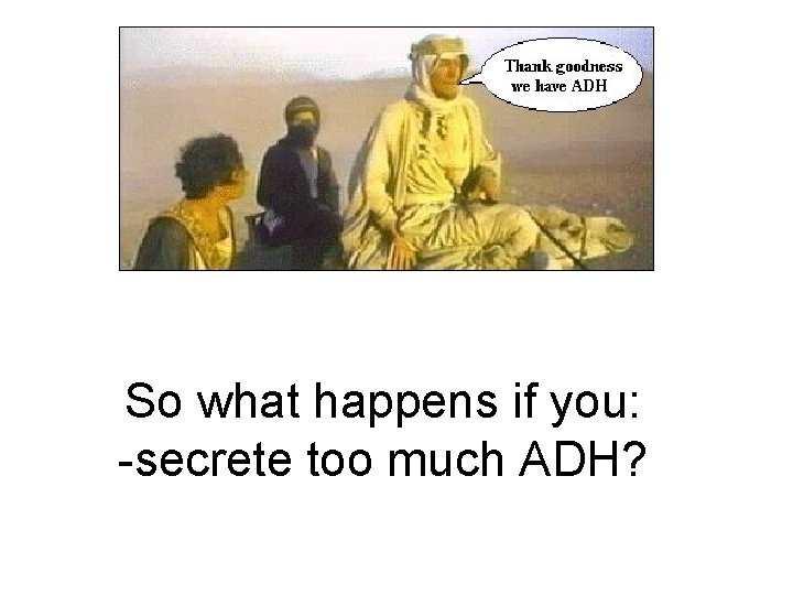 So what happens if you: -secrete too much ADH? 