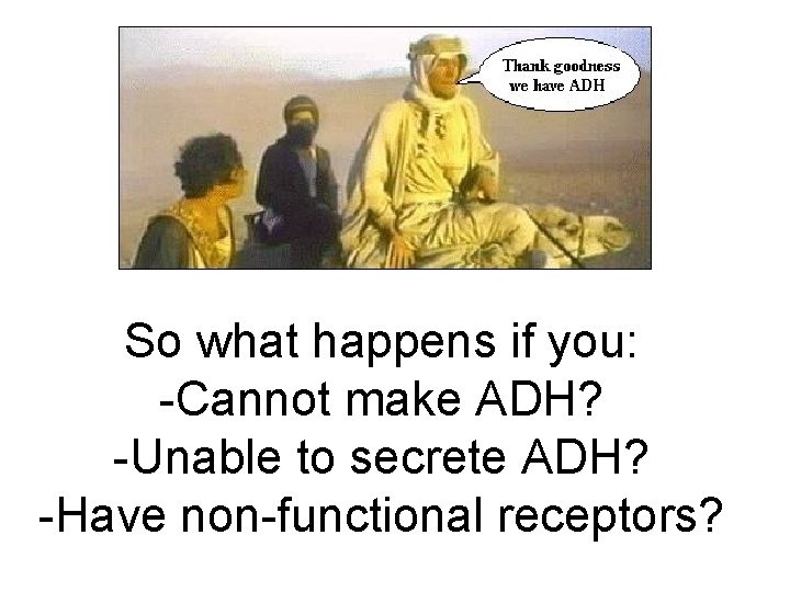 So what happens if you: -Cannot make ADH? -Unable to secrete ADH? -Have non-functional