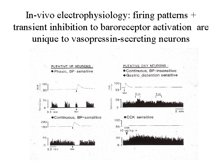 In-vivo electrophysiology: firing patterns + transient inhibition to baroreceptor activation are unique to vasopressin-secreting