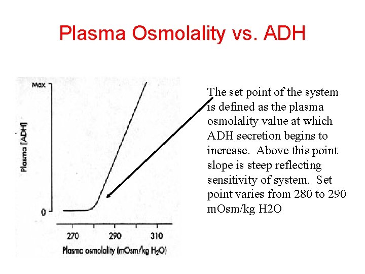 Plasma Osmolality vs. ADH The set point of the system is defined as the