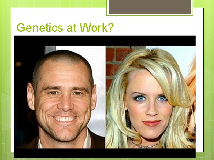 Genetics at Work? 