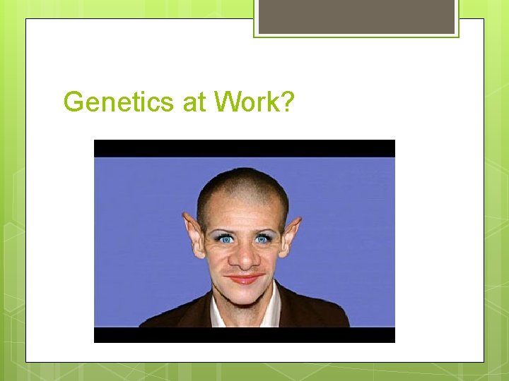 Genetics at Work? 