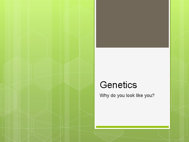 Genetics Why do you look like you? 