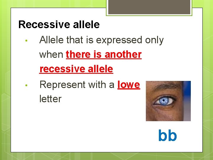 Recessive allele • Allele that is expressed only when there is another recessive allele