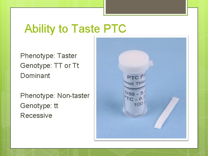 Ability to Taste PTC Phenotype: Taster Genotype: TT or Tt Dominant Phenotype: Non-taster Genotype: