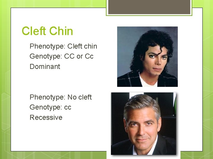 Cleft Chin Phenotype: Cleft chin Genotype: CC or Cc Dominant Phenotype: No cleft Genotype: