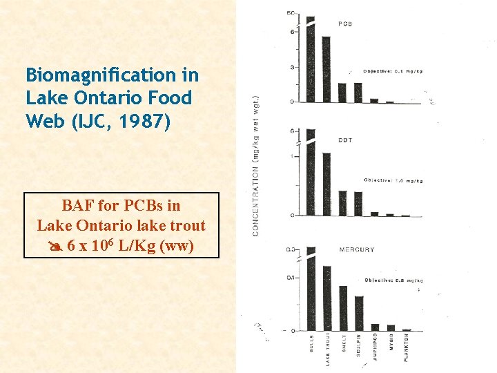 Biomagnification in Lake Ontario Food Web (IJC, 1987) BAF for PCBs in Lake Ontario Biomagnification in Lake Ontario Food Web (IJC, 1987) BAF for PCBs in Lake Ontario