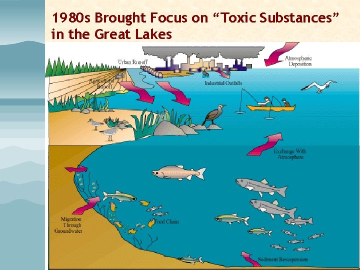 1980 s Brought Focus on “Toxic Substances” in the Great Lakes 1980 s Brought Focus on “Toxic Substances” in the Great Lakes