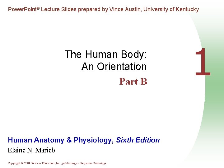 Power. Point® Lecture Slides prepared by Vince Austin, University of Kentucky The Human Body: