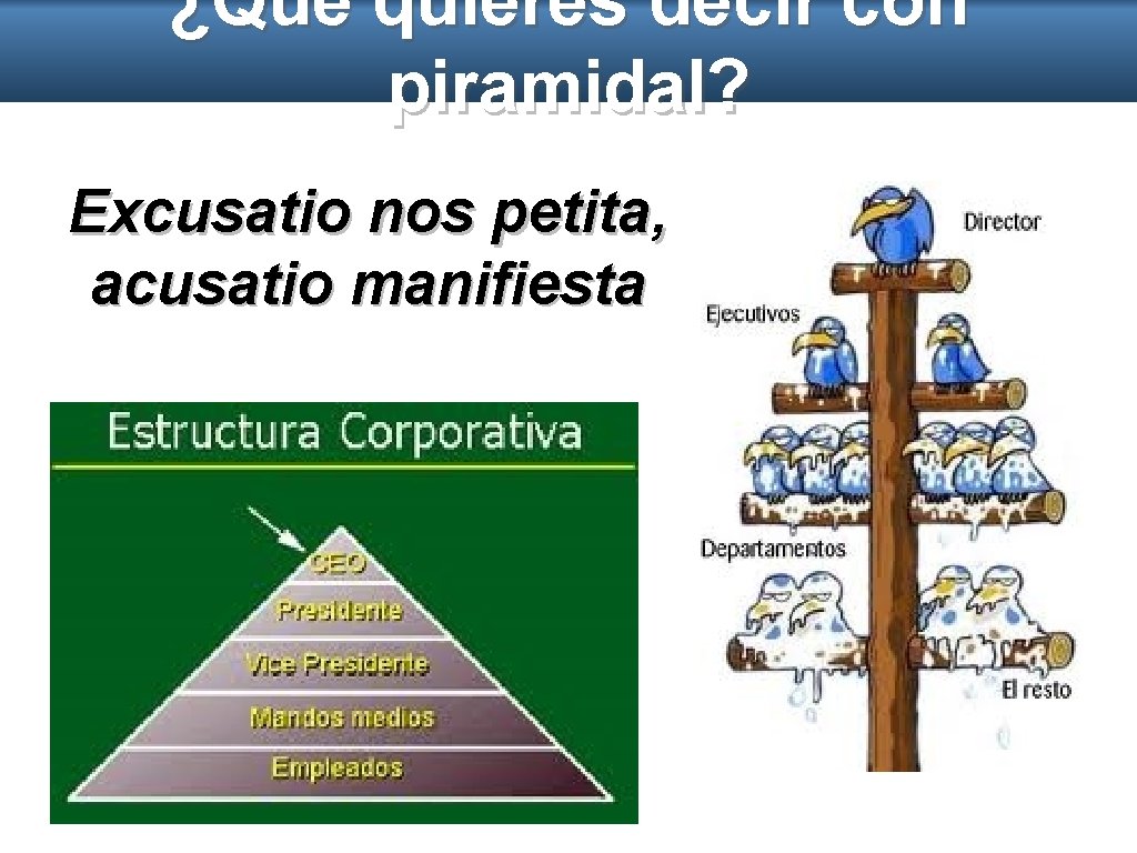 ¿Qué quieres decir con piramidal? Excusatio nos petita, acusatio manifiesta 