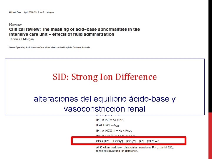 SID: Strong Ion Difference alteraciones del equilibrio ácido-base y vasoconstricción renal 