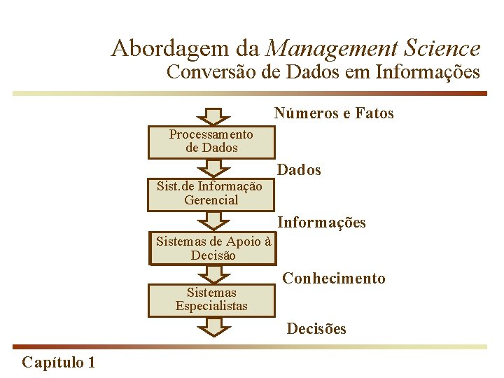 Abordagem da Management Science Conversão de Dados em Informações Números e Fatos Processamento de