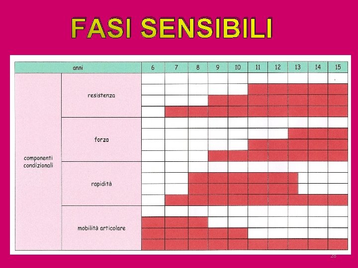 FASI SENSIBILI 28 