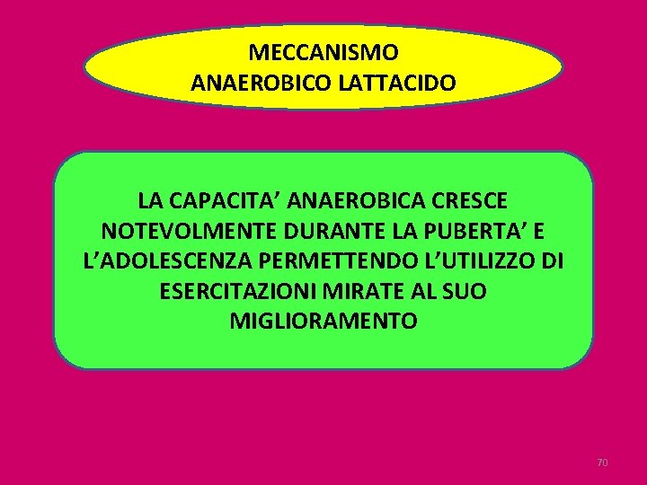 MECCANISMO ANAEROBICO LATTACIDO LA CAPACITA’ ANAEROBICA CRESCE NOTEVOLMENTE DURANTE LA PUBERTA’ E L’ADOLESCENZA PERMETTENDO