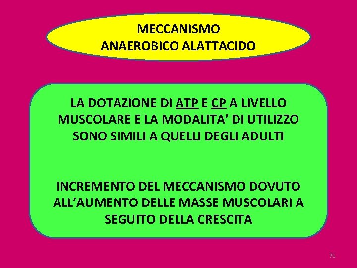 MECCANISMO ANAEROBICO ALATTACIDO LA DOTAZIONE DI ATP E CP A LIVELLO MUSCOLARE E LA