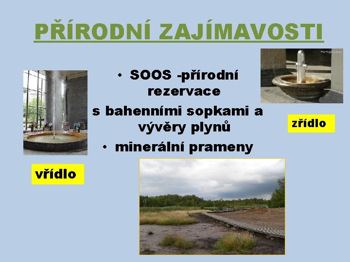 PŘÍRODNÍ ZAJÍMAVOSTI • SOOS -přírodní rezervace s bahenními sopkami a vývěry plynů • minerální