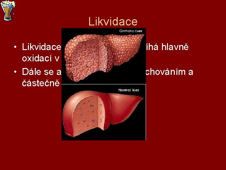 Likvidace • Likvidace alkoholu v těle probíhá hlavně oxidací v játrech (až 98%), •