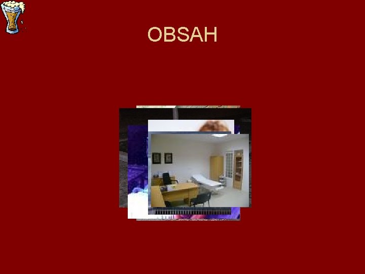 OBSAH 