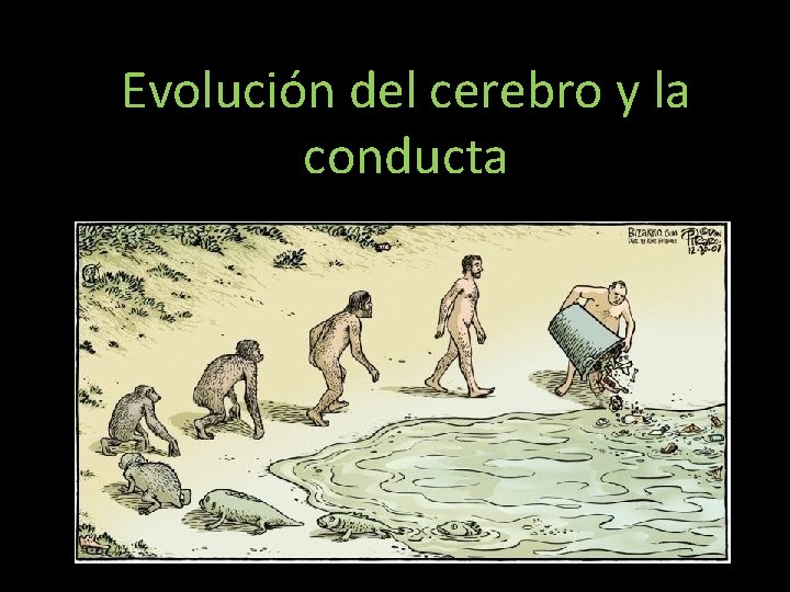 Evolución del cerebro y la conducta 