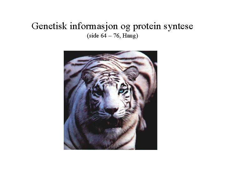 Genetisk informasjon og protein syntese (side 64 – 76, Haug) 